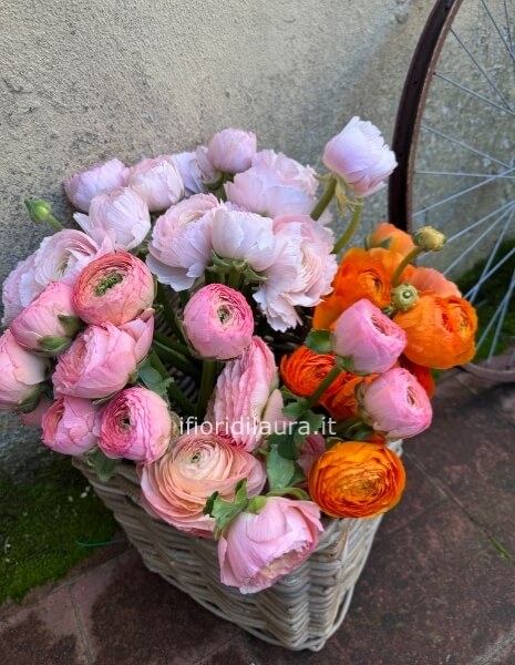 Ranuncoli da comporre in mazzo per numero di steli. 