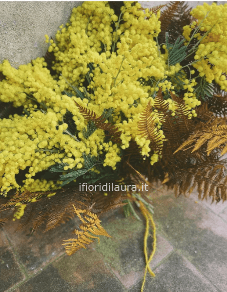 Bouquet di sola mimosa confezionato