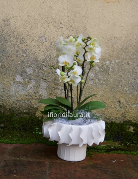 vaso fatto mano