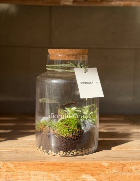 Pianta racchiusa in un elegante vaso in vetro