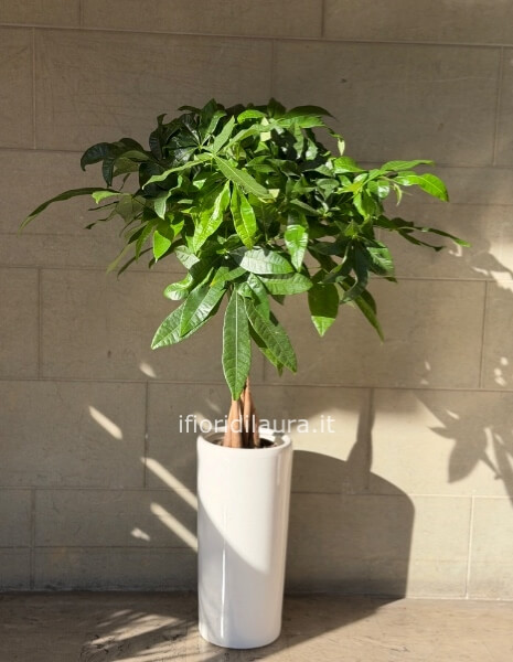 vaso in ceramica h.35 cm