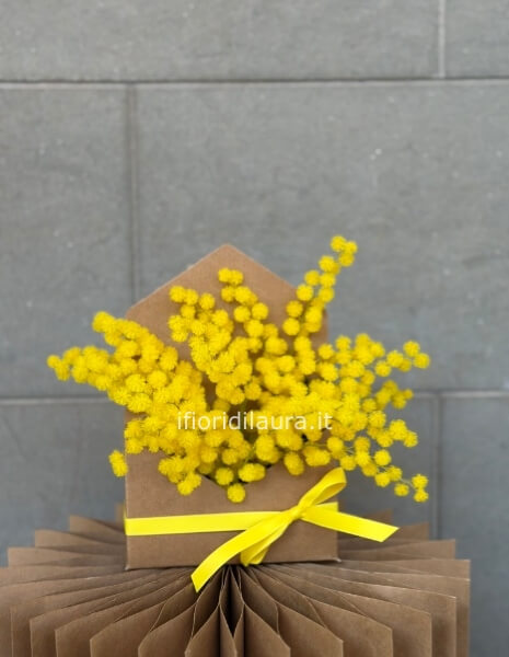 Composizione di mimosa in scatola