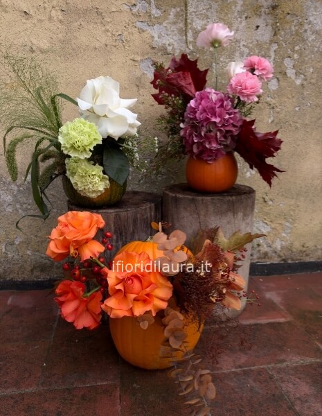 Zucche fiori freschi